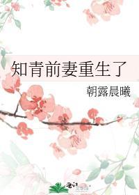 知青前妻重生了的免费阅读