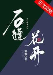 石缝花开讲什么