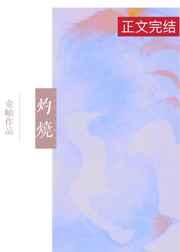 灼烧碳酸钠用什么坩埚