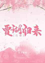 红楼贾瑚归来笔趣阁