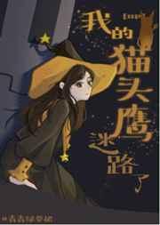 hp我的猫头鹰迷路了 百度盘