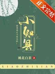 小知县桃花白茶TXT