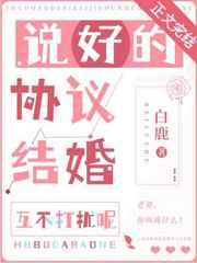 说好的协议结婚互不打扰呢白鹿