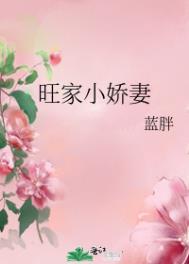 旺家小娇妻txt