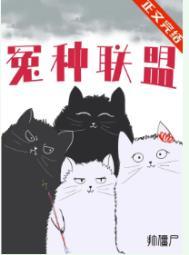 冤种联盟讲的什么