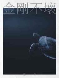 金刚不坏之身比喻什么