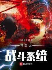 精灵战斗系统