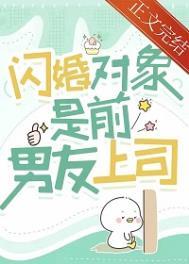 闪婚对象是前男友上司 作者解冻湖水