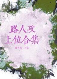 路人攻上位合集双洁吗