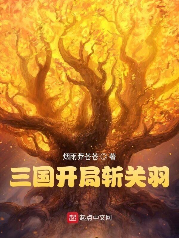 三国志战略版sp关羽t0阵容