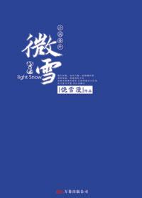 微雪阅读