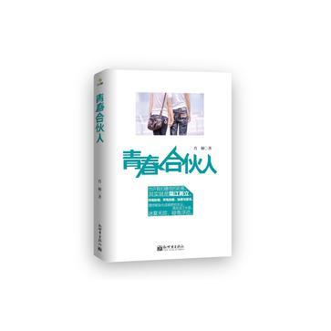 青春合伙人书籍