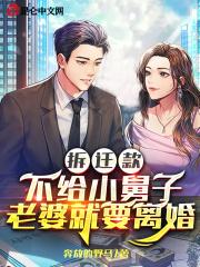 老婆就要离婚TXT