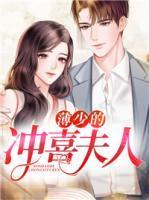 薄少宠妻100式