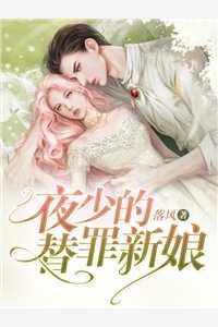 夜少的替嫁新娘免费阅读31集
