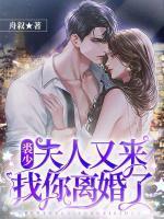 夫人又来找你离婚了
