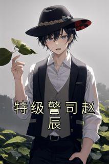 赵辰主角