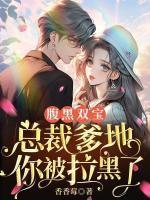 腹黑双宝总裁你像我爹地全文免费阅读