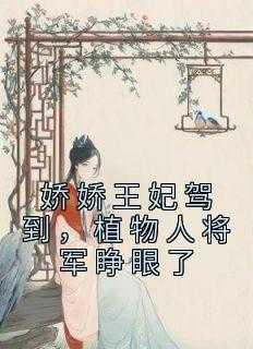 娇娇王妃驾到全集