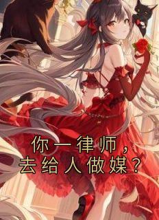 顾念叶北辰