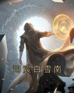 司徒雪南辰安免费阅读