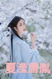夏滢唐胤名