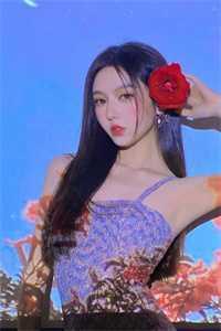 王爷王妃改嫁了人