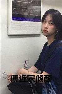 傅沉宋晚风全文免费阅读