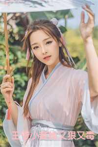 王爷妾很忙的