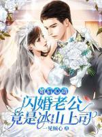 闪婚丈夫竟然是新总裁