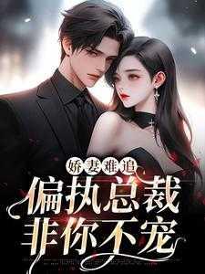 娇妻难追总裁请止步全文免费