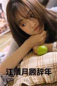 顾辞江清月现代