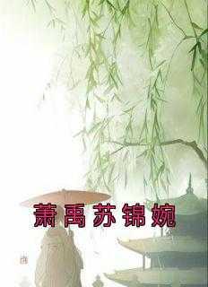 苏锦 萧震 免费阅读