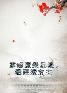 苏天雪傅远