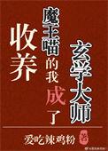 收养魔王喵的我成了玄学大师爱吃