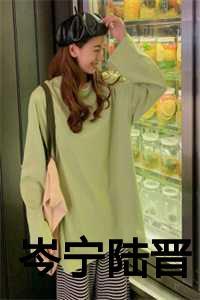 岑宁陆晋免费