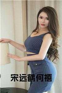 宋远鹤何禧阅读