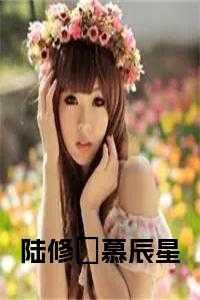 慕嫣陆修沉