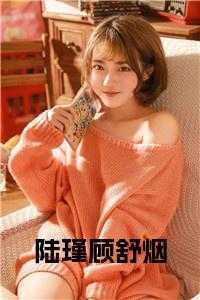顾舒南陆景琛作者