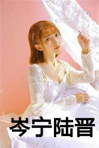 岑宁陆晋是什么