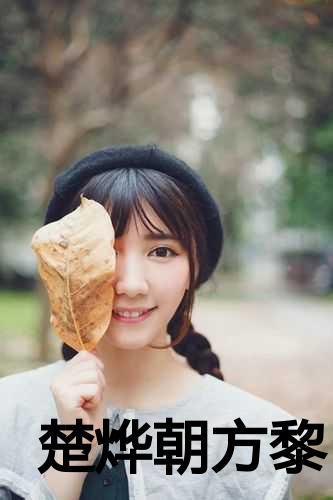男主楚烨女主