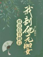 被道侣抛弃之后全文阅读
