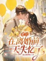 离婚前老公失忆了向北
