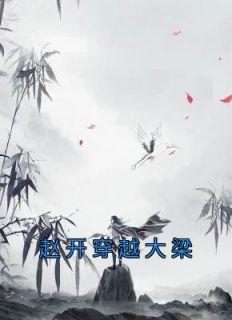 赵开穿越大梁免费阅读