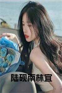 陆励成南溪免费阅读