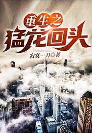 重生之猛龙回头电视剧在线看