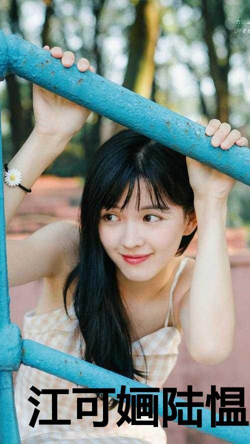 江可婳陆愠