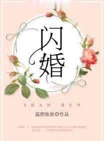 闪婚豪门电视剧