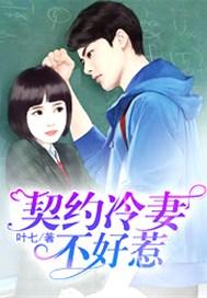 契约冷妻不好惹名字