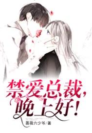 禁爱总裁晚上好夏之星免费